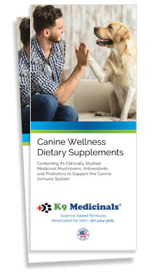 Canine Wellness Brochure