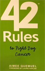 42rules