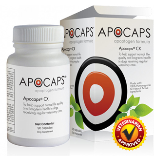  Apocaps CX Apoptogen Formula for Dogs