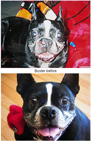 Buster Before and After