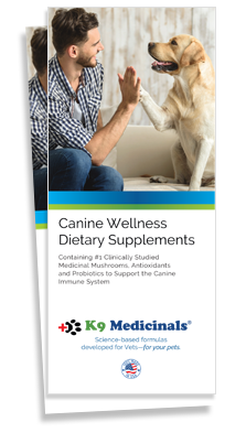 Canine Wellness Brochure