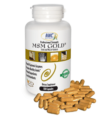 MSM Gold®